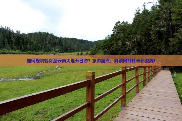 如何规划鹤岗至云南大理五日游？旅游痛点，解锁网红打卡新姿势！