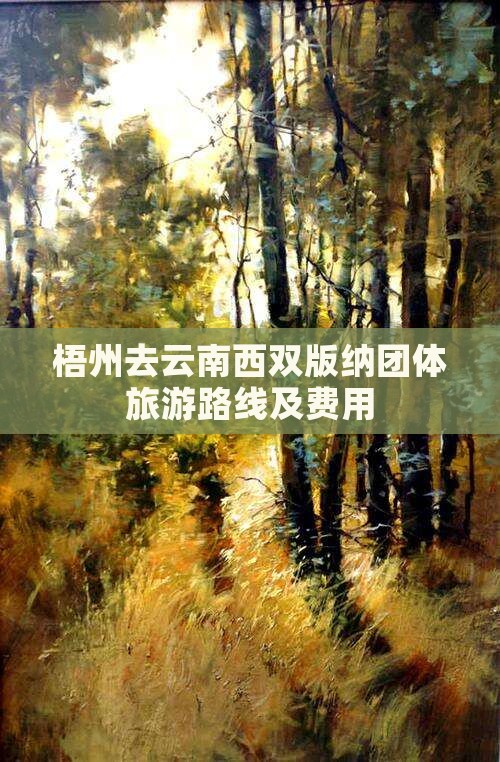 梧州去云南西双版纳团体旅游路线及费用