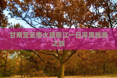 甘南至云南大理丽江一日深度旅游之旅