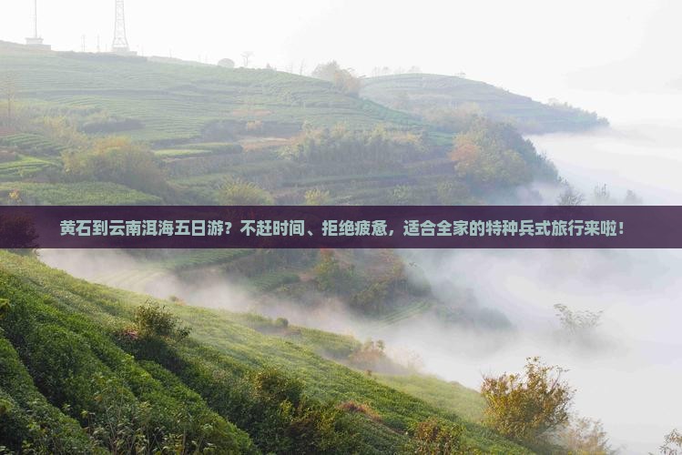 黄石到云南洱海五日游？不赶时间、拒绝疲惫，适合全家的特种兵式旅行来啦！