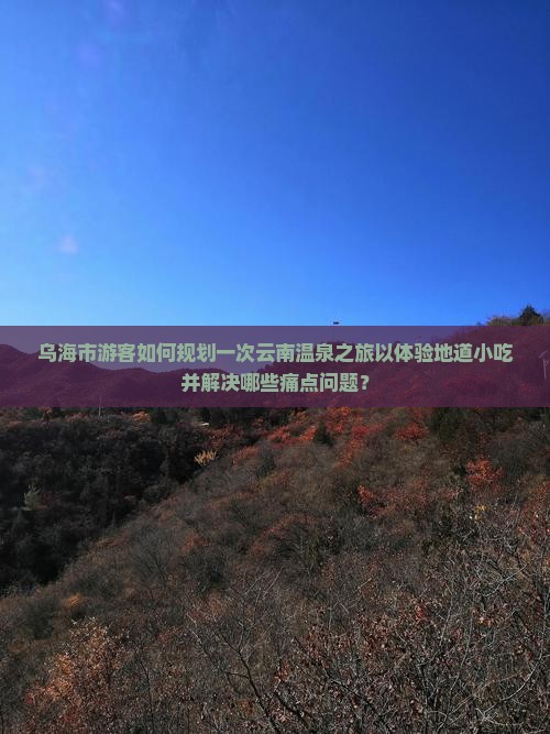 乌海市游客如何规划一次云南温泉之旅以体验地道小吃并解决哪些痛点问题？