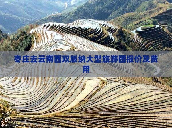 枣庄去云南西双版纳大型旅游团报价及费用