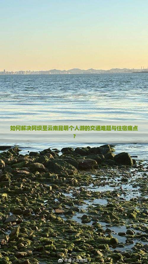 如何解决阿坝至云南昆明个人游的交通难题与住宿痛点？