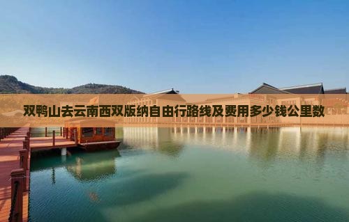 双鸭山去云南西双版纳自由行路线及费用多少钱公里数