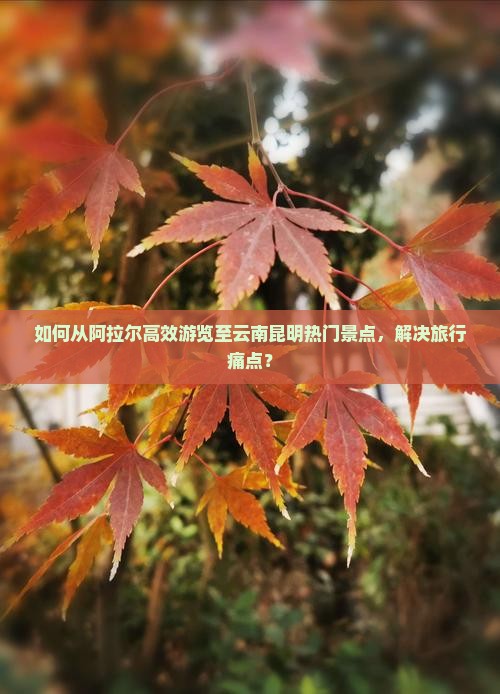 如何从阿拉尔高效游览至云南昆明热门景点，解决旅行痛点？
