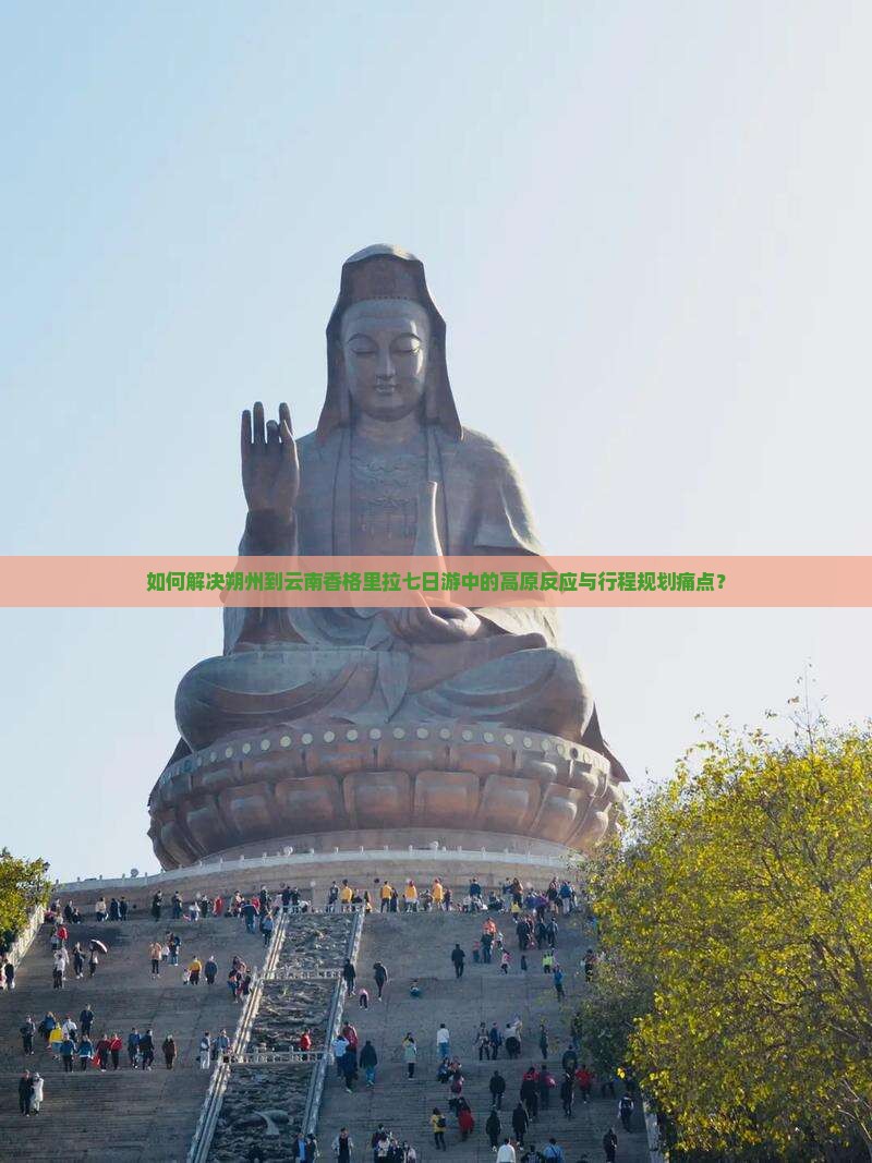 如何解决朔州到云南香格里拉七日游中的高原反应与行程规划痛点？