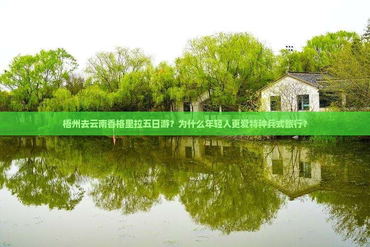 梧州去云南香格里拉五日游？为什么年轻人更爱特种兵式旅行？