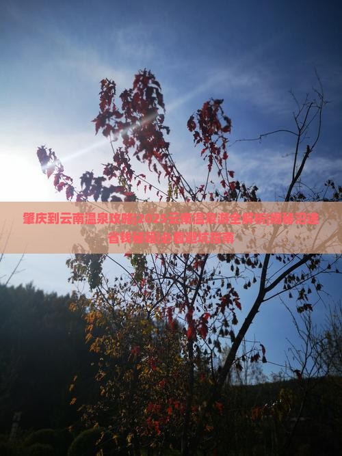 肇庆到云南温泉攻略