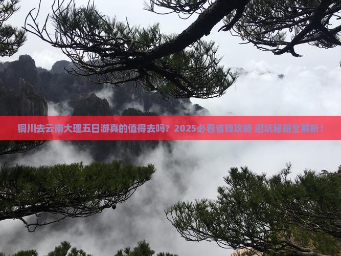 铜川去云南大理五日游