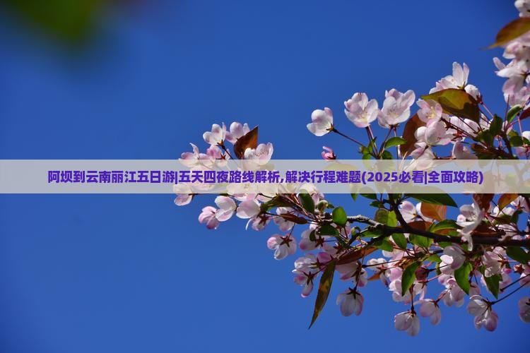 阿坝到云南丽江五日游 阿坝到云南丽江五日游