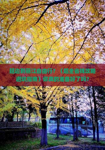延边去云南丽江自由团