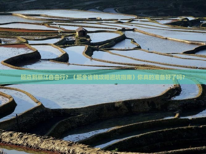 延边去云南丽江自由团