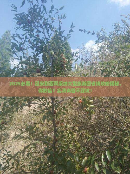延安到云南西双版纳大型旅游团