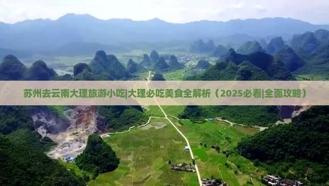 苏州去云南大理旅游小吃