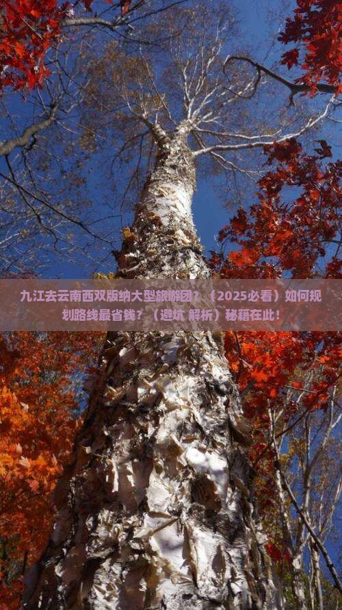 九江去云南西双版纳大型旅游团