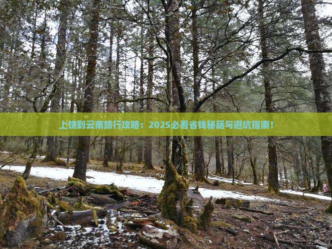 上饶到云南旅行社 上饶到云南旅行社