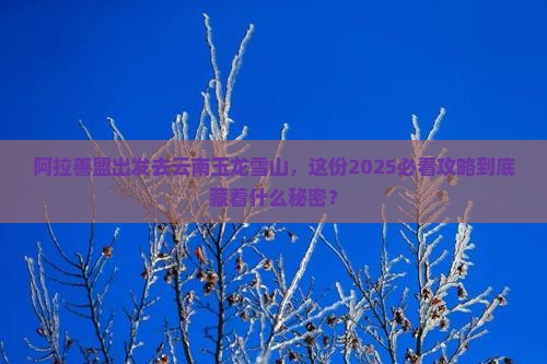 阿拉善盟去云南玉龙雪山个人游