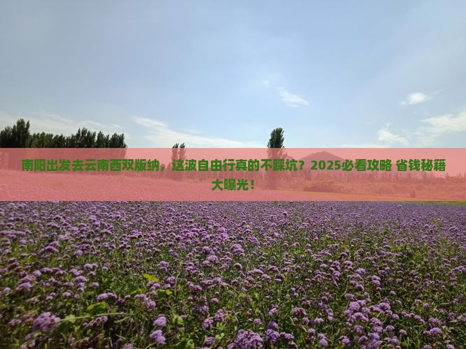 南阳去云南西双版纳自由行