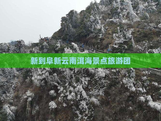 阜新去云南洱海自由团