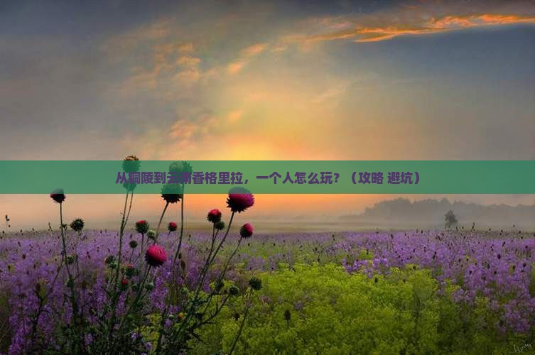 铜陵到云南香格里拉个人游