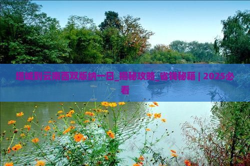 塔城到云南西双版纳一日