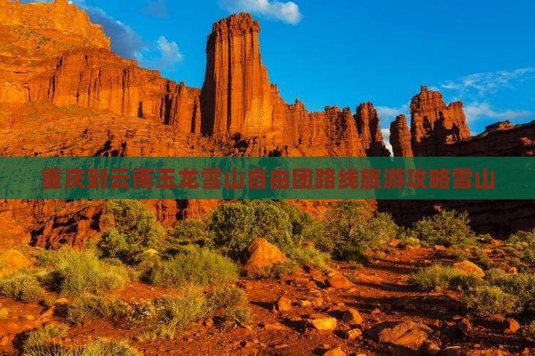 重庆到云南玉龙雪山自由团