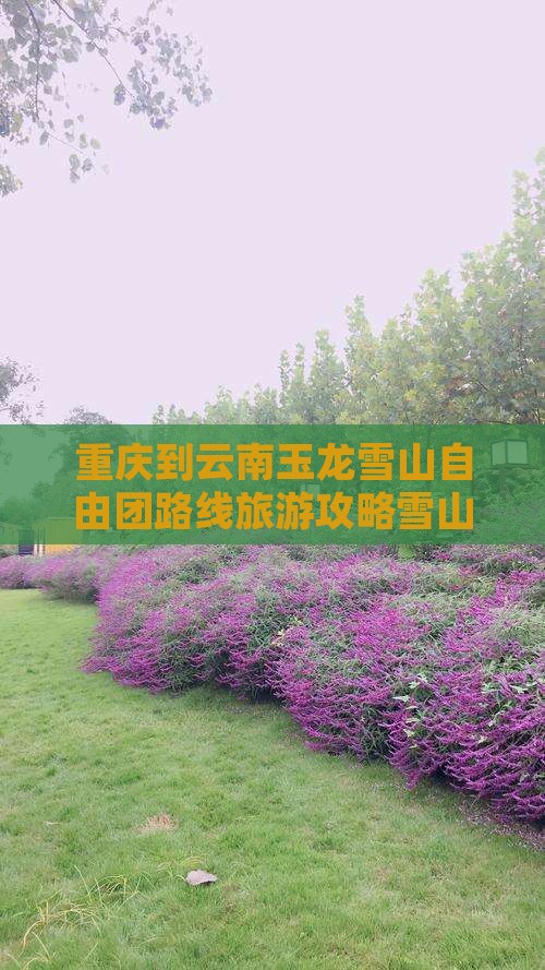 重庆到云南玉龙雪山自由团