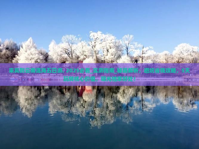 来宾到云南洱海五日游