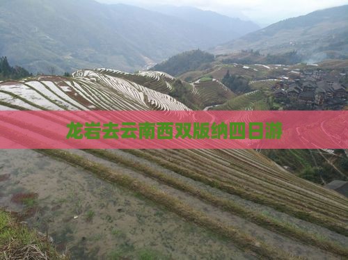 龙岩去云南西双版纳四日游