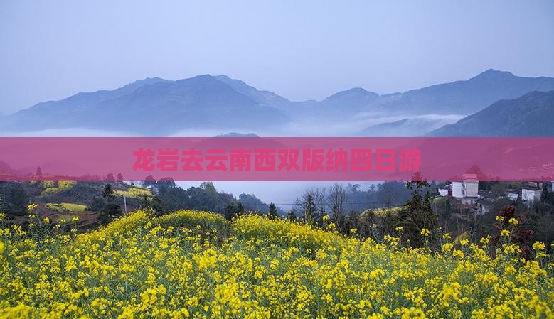 龙岩去云南西双版纳四日游