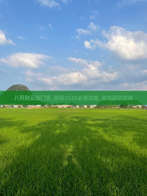 八月到云南门票