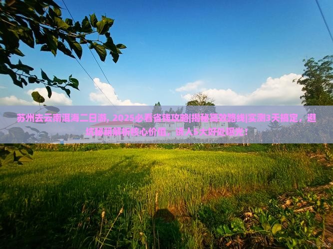 苏州去云南洱海二日游