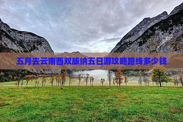 五月去云南西双版纳五日游