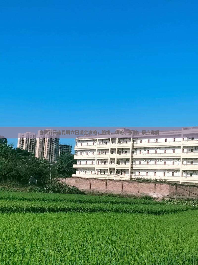 自贡到云南昆明六日游