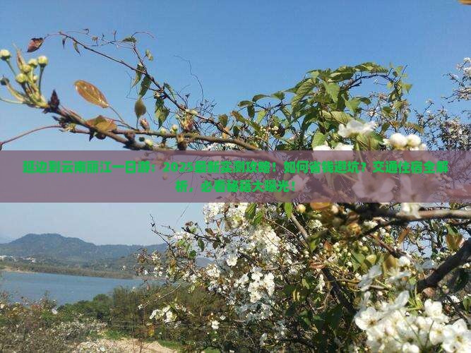 延边到云南丽江一日