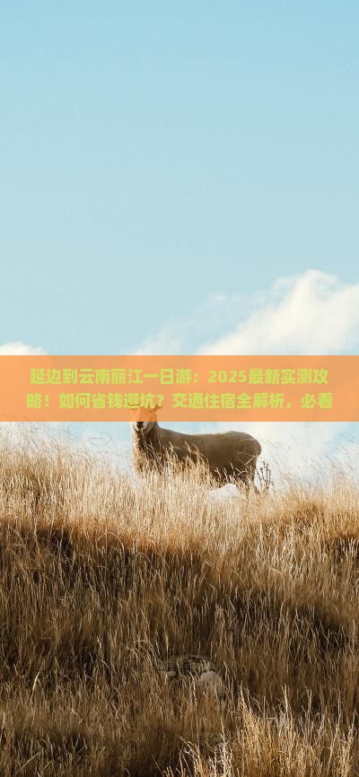 延边到云南丽江一日