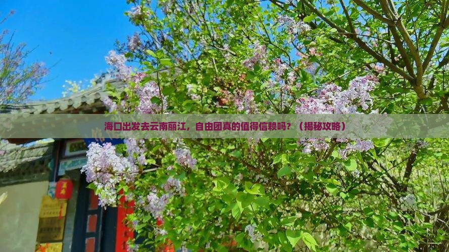 海口去云南丽江自由团