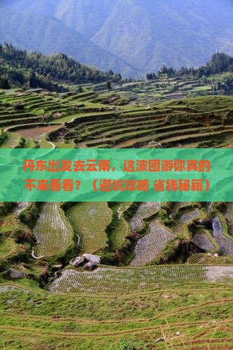 丹东到云南团体旅游