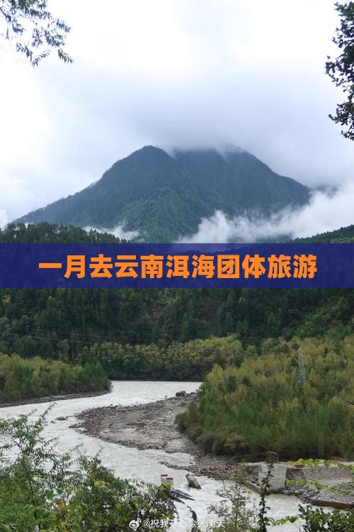 一月去云南洱海团体旅游