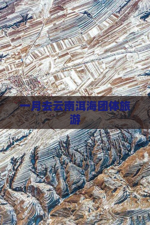 一月去云南洱海团体旅游