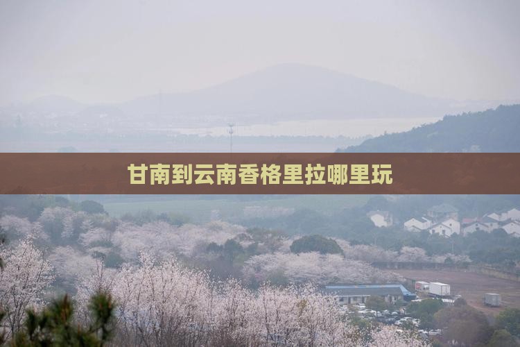 甘南到云南香格里拉哪里玩