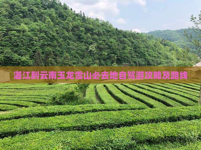 湛江到云南玉龙雪山必去地