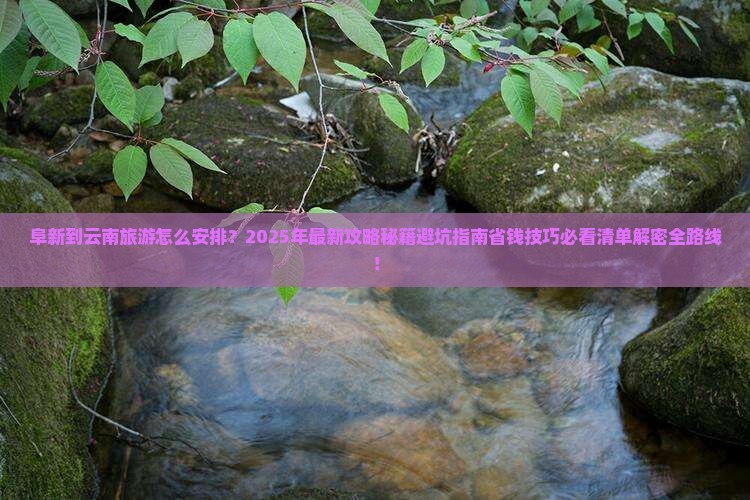 阜新到云南旅游