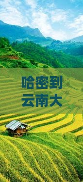哈密到云南大理景点