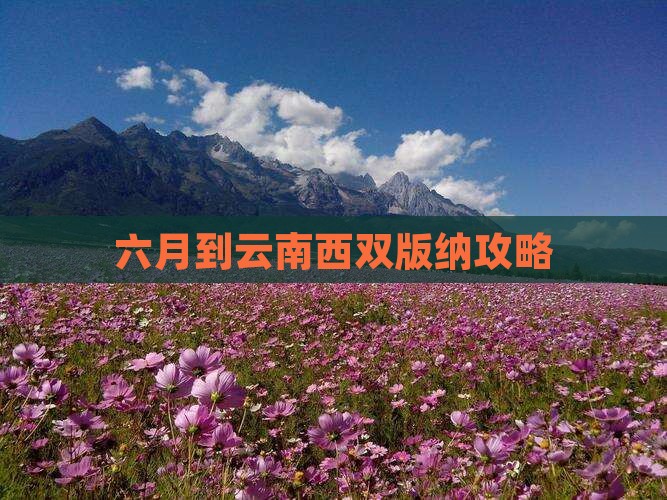 六月到云南西双版纳攻略