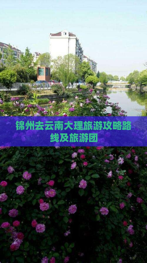 锦州去云南大理旅游