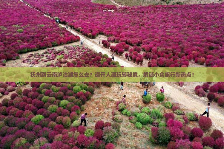 抚州到云南泸沽湖旅行社