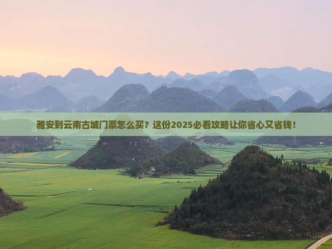 雅安到云南古城门票