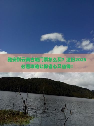 雅安到云南古城门票