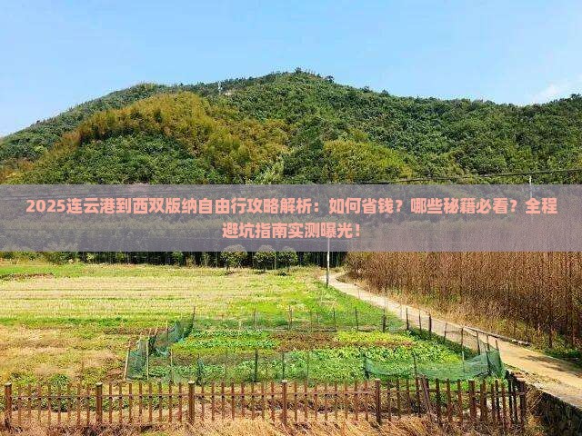 连云港到云南西双版纳自由行